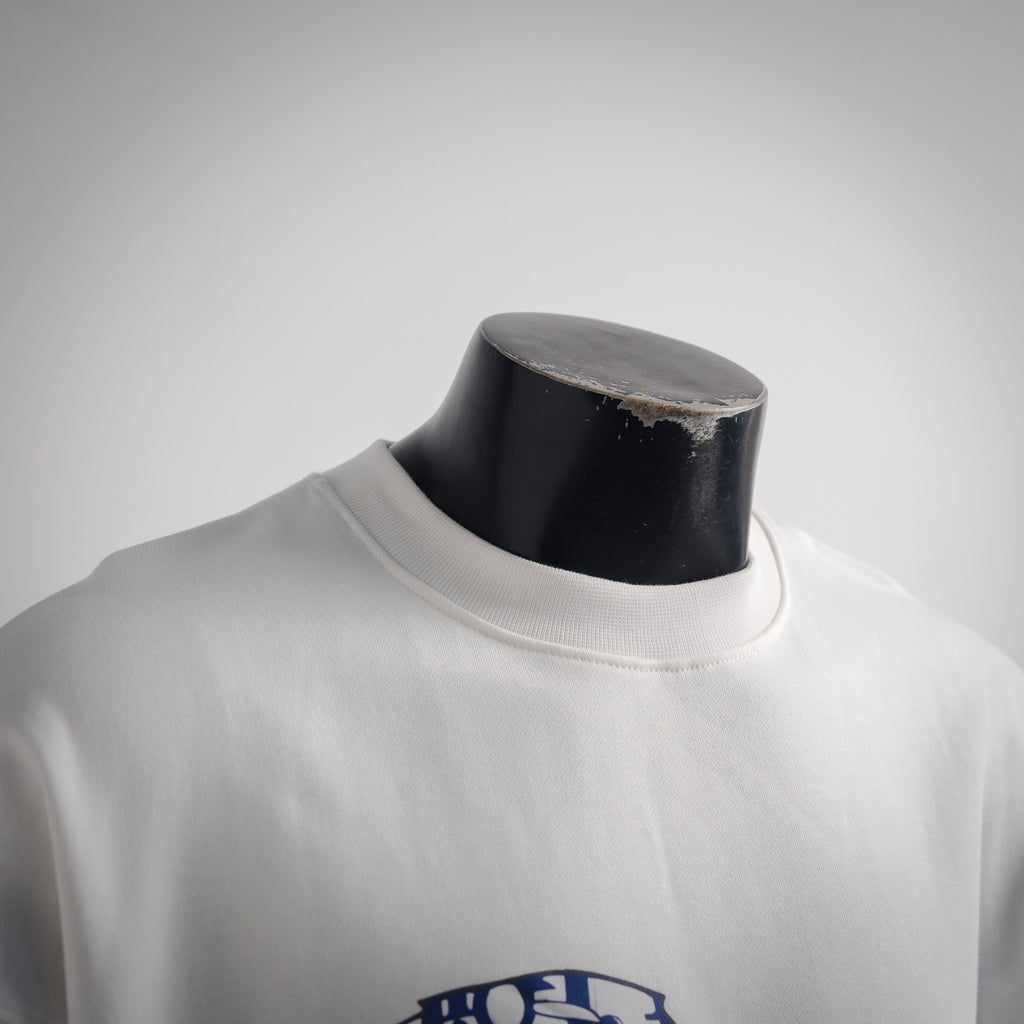 CD 25fw printed sweatshirt