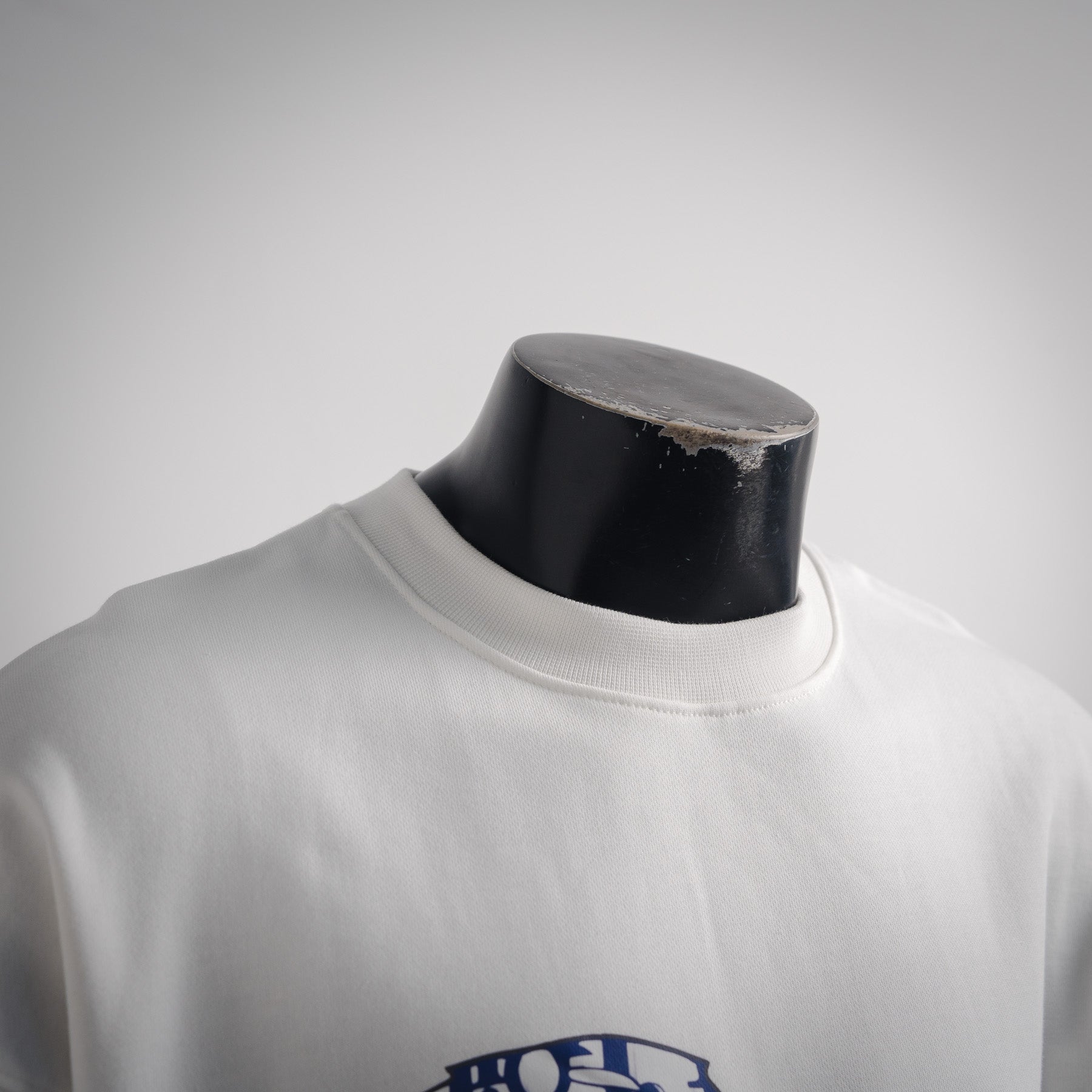 CD 25fw printed sweatshirt