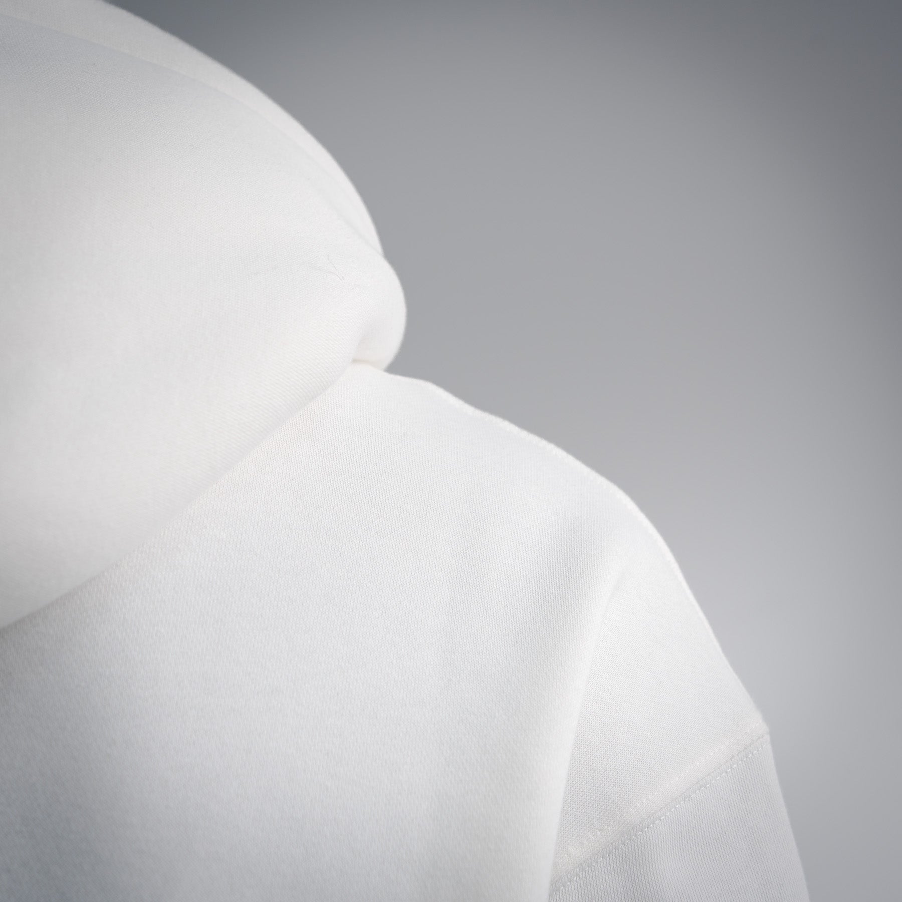 Louis 25fw printed hoodie