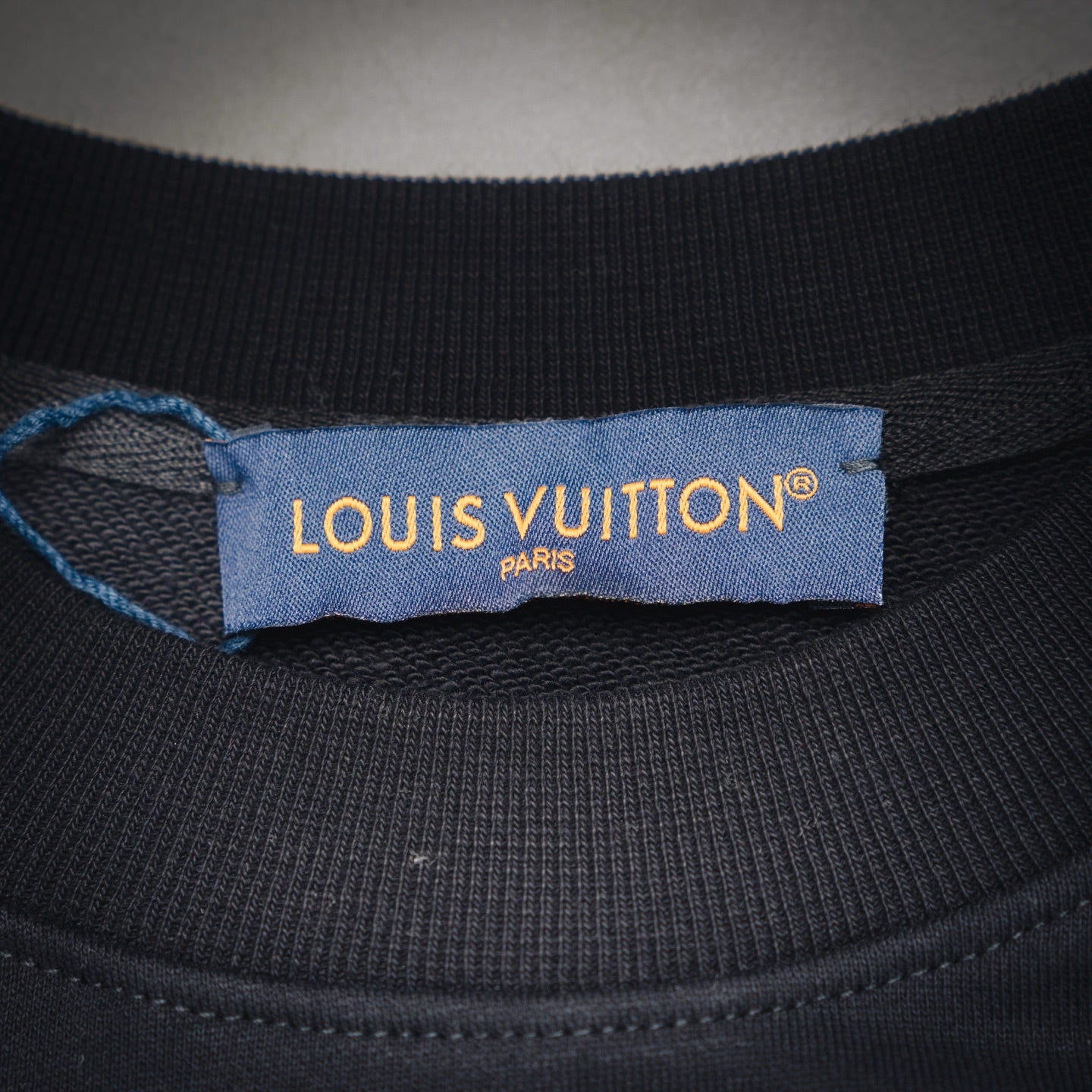 Louis 25fw embroidered sweatshirt