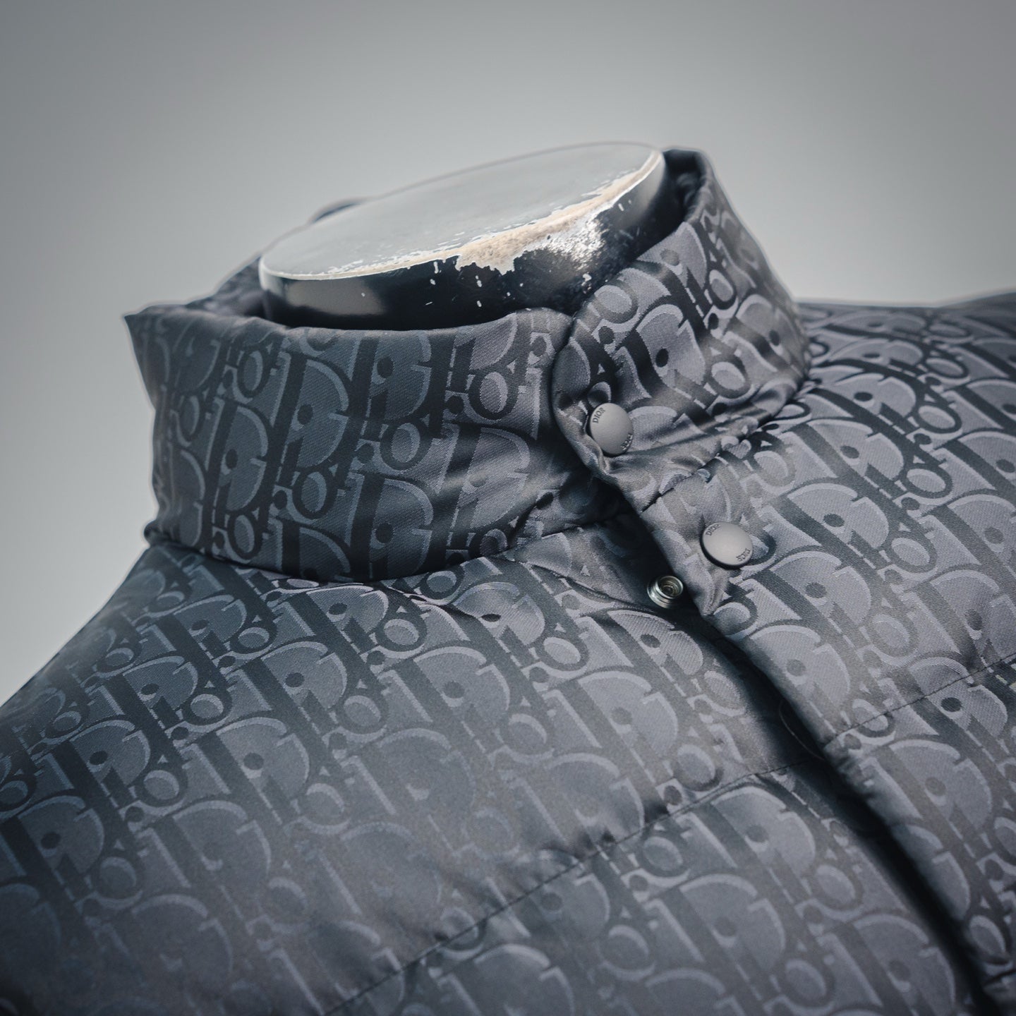 CD 25fw jacquard vest