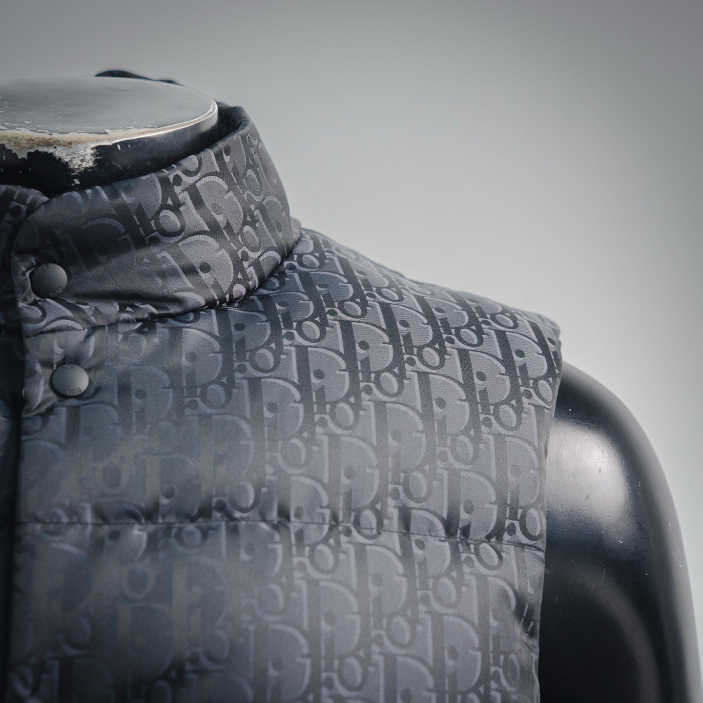 CD 25fw jacquard vest