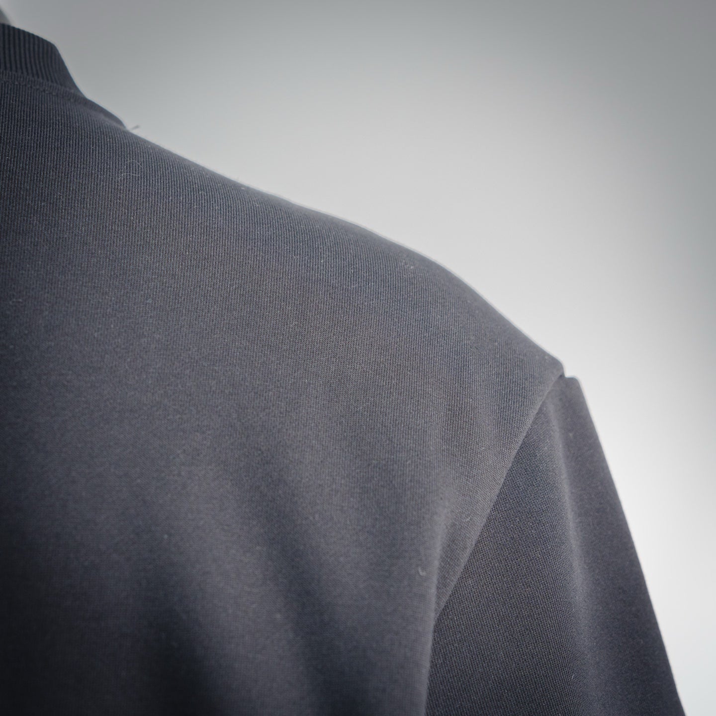 Ralph 25fw all-match sweatshirt