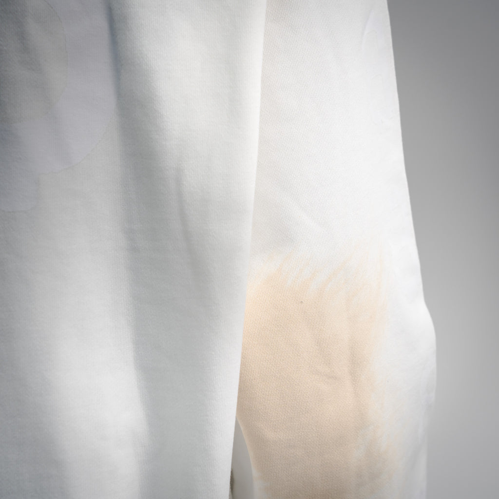 Balen 25fw casual hoodie